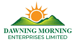 Dawning Morning Enterprises Ltd